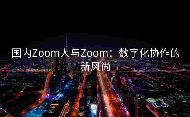 国内Zoom人与Zoom：数字化协作的新风尚