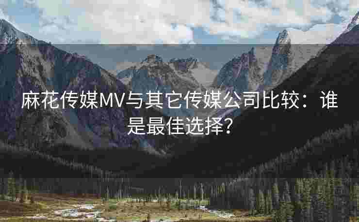 麻花传媒MV与其它传媒公司比较:谁是最佳选择? 麻花传媒MV与其它传媒公司比较:谁是最佳选择?